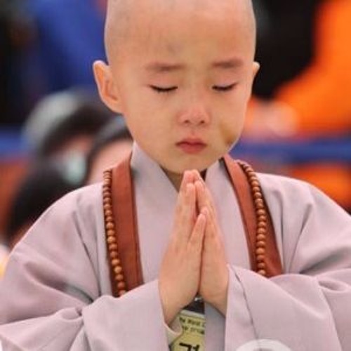 Bất ngờ trước video Hồ Quang Hiếu cạo đầu đi tu