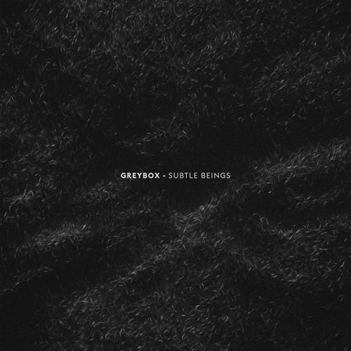 Subtle Beings