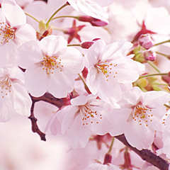 Hopelessly Devoted To You Part 2