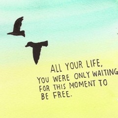 Blackbird - The Beatles (Cover)