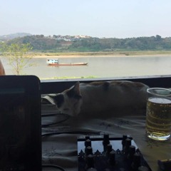(((Tipper and Friends Mix Contest Entry))) Live from the Mekong River, Thailand