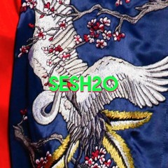 SESH20 prequel - high jet & apricate LIVE @ manasia hub