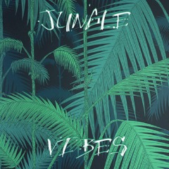 The Lost Soul - Jungle Vibes