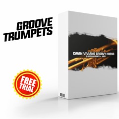 Groovy Trumpets \ ONLY 2.99 $