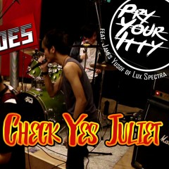 We The Kings - Check Yes Juliet [Live] (Cover)
