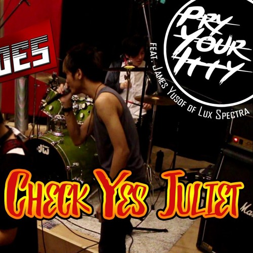 We The Kings - Check Yes Juliet [Live] (Cover)