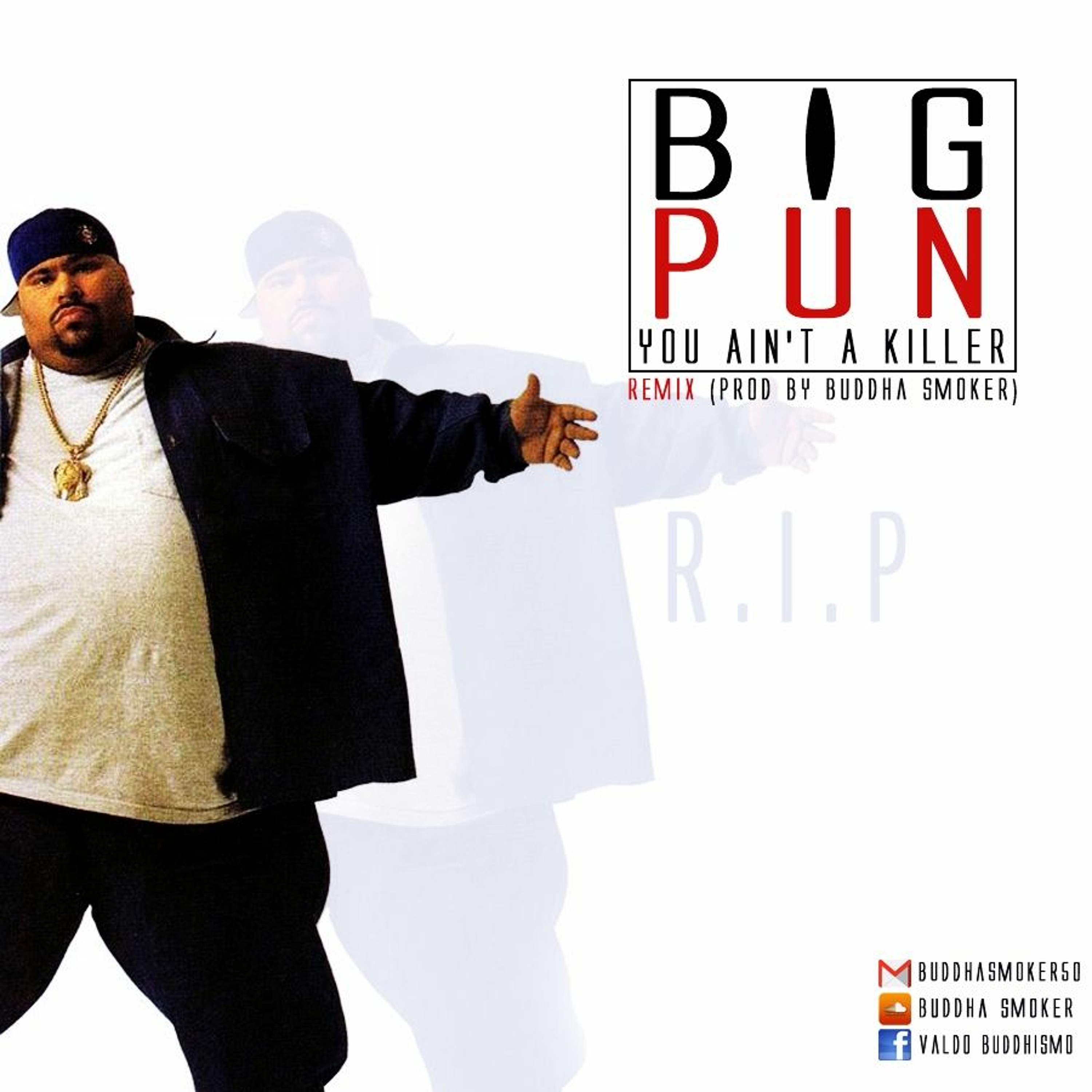 You Ain't A Killer Remix (Prod By Buddha Smoker) episode artwork