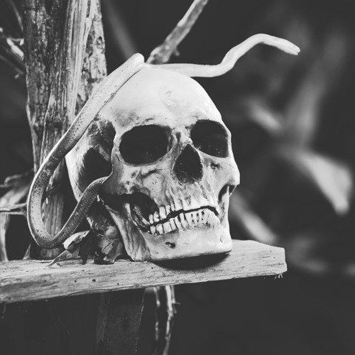 Voodoo