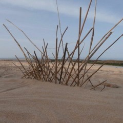 WALK OVER THE DUNE, Sand as a gift