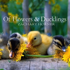 Of Flowers & Ducklings