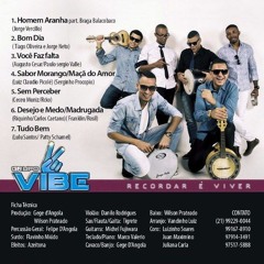 Grupo Vibe - Sem Perceber