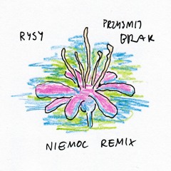 RYSY feat. Justyna Święs & Piotr Zioła - Przyjmij Brak (niemoc remix)