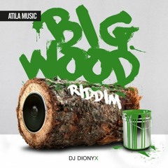 Chester - Ti Fum Quoi (Big Wood Riddim) By Dj Dionyx