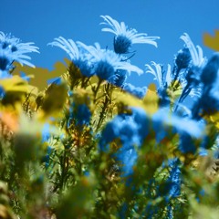 fresℎ. daily 03.09.2016