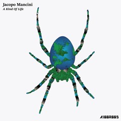 Jacopo Mancini - A Kind Of Life (Original Mix)[DEMO005]