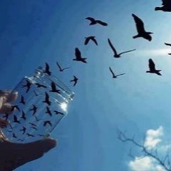 Huub - Claydrum Contest