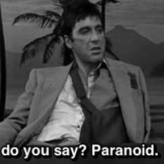 Paranoid - Chris Bakir Ft. Joey Lucid