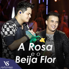 VS - A ROSA E O BEIJA FLOR - Matheus e Kaun