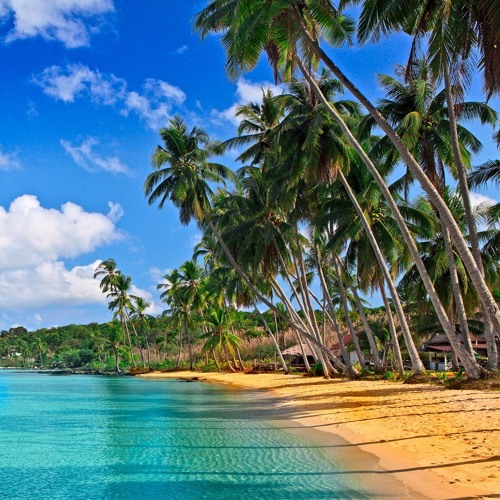 Calypso Birthday Party