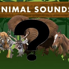 Sonia FX: Can You Guess the Mystery Animal Sound?