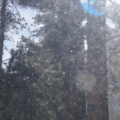 Down Time w/ Cornelius Fiction