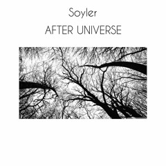 Soyler - After Universe