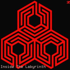 Insight The Labyrinth
