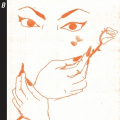 Cienfuegos - Lost In God's Country (snippets) BNK003