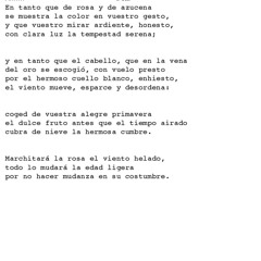 Soneto XXIII