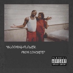 HOOD LOVE (Picture Perfect) Ft. Paris & Johny T (Prod. SiNiCaL)