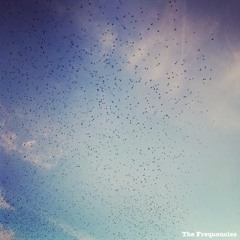 The Frequencies [LP]