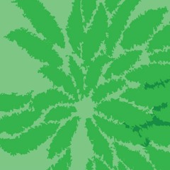 ahhh good country (animal collective cover)