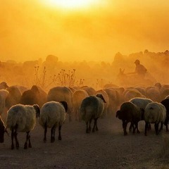 خطوة - يالله طلبتك تنزل الرحمة  - زواج عبدالعزيز الحسن- من مكتبتي الصوتية الخاصة