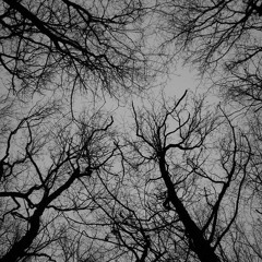 Out Of Autumn.mp3 (what have i become)