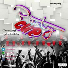 Chameleon ft Zulan O'brien__Party Cupz