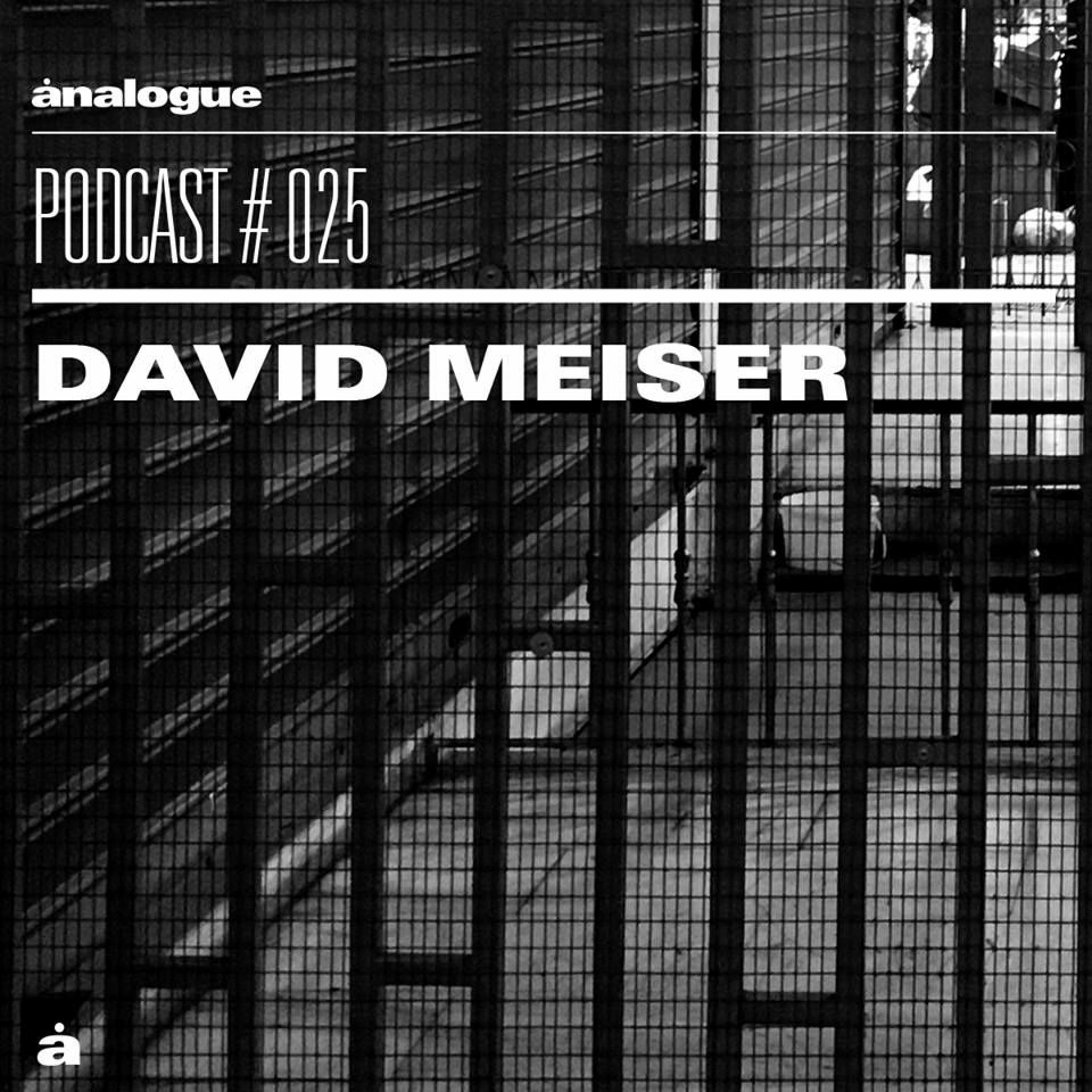 Analogue Podcast #025 | DAVID MEISER