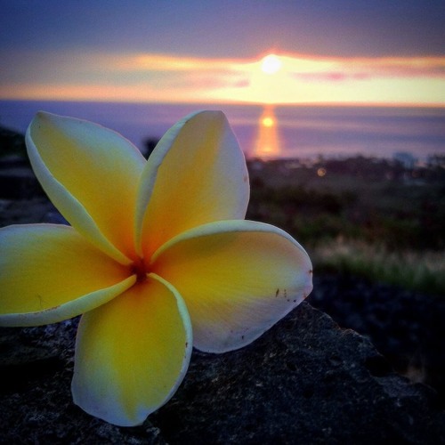 J Boog - Leaving with me