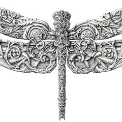 Dragonfly slow love sound ...