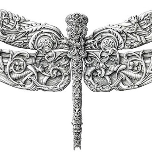 Dragonfly slow love sound ...