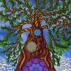 Psychedelic, meditative and mind expanding