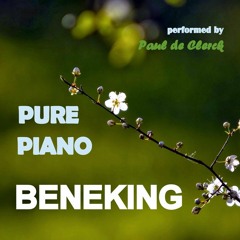 Stephan Beneking  -  Nocturne - Valse in C Minor No.4