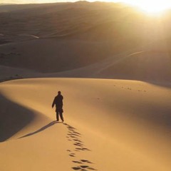 Walking in the desert
