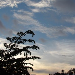 Tadhana - Up Dharma Down cover with sibs