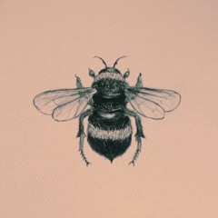 Rescue Mission [Free Download]