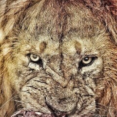 I Don't Need Em {50}