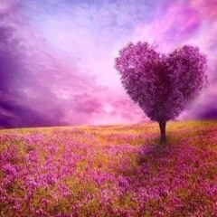 XLoveMoney - Mashup!