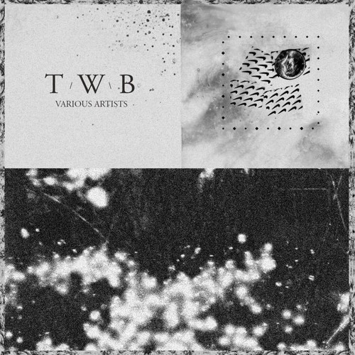 Anthro - Cred [TWB002]