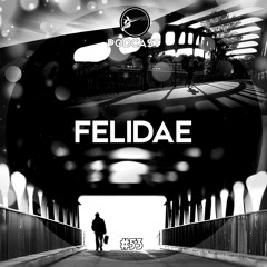 Grossstadtvögel Podcast #053 - FELIDAE