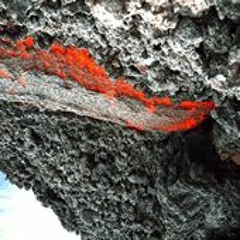 Renerbklak Core – ConradTwice – Casa Rara Release 0009