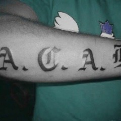 Alpa Gun